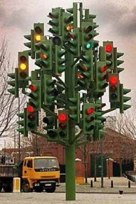 the-traffic-signal-tree